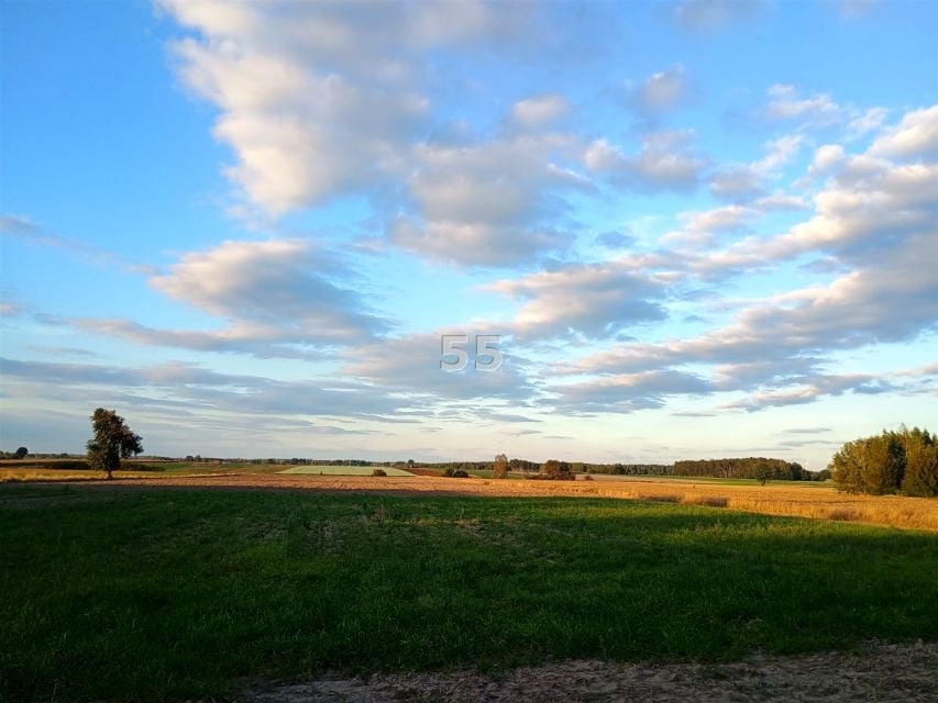 Pusta działka Albertów