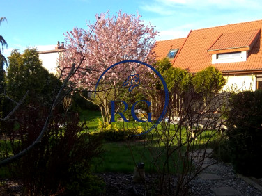 Dom wolnostojący sprzedaż