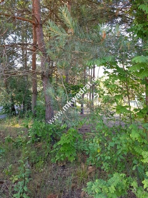Działka budowlana sprzedam