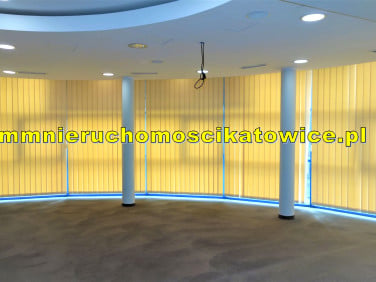Lokal Katowice