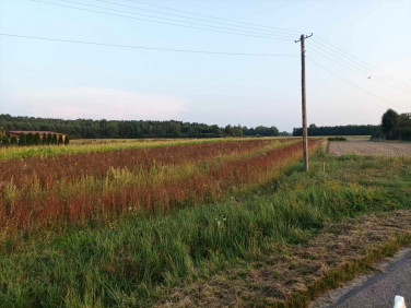 Działka budowlana Lubaczów sprzedam