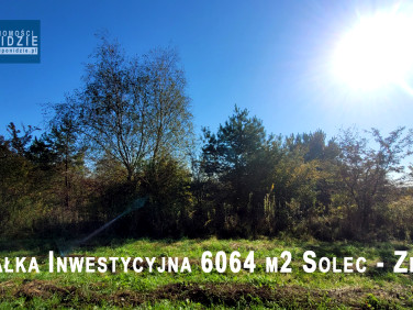 Działka inwestycyjna Solec-Zdrój