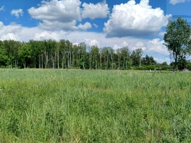 Działka budowlana Kajetany