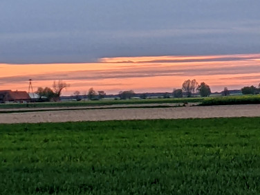 Działka Gniezno