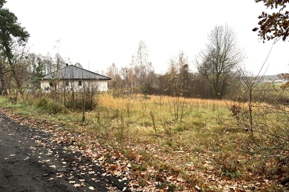 Działka Silno