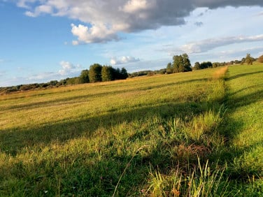 Działka rolna Nowy Cygów