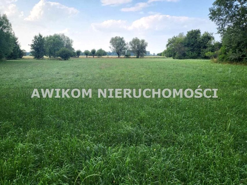 Zdjęcie 3