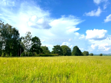 Działka budowlana Bielawa