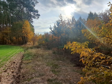 Działka nad rzeką