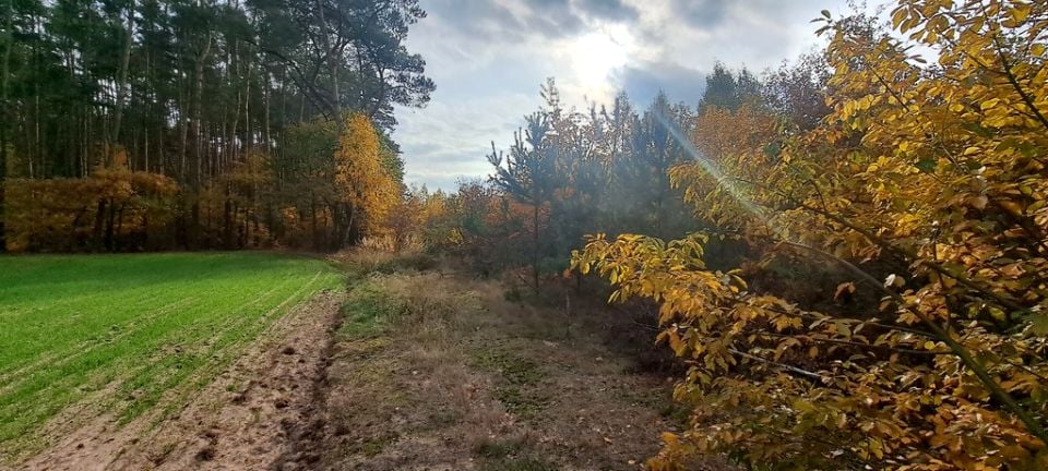 Działka nad rzeką