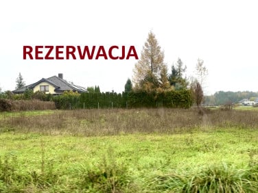 Działka Kamionki