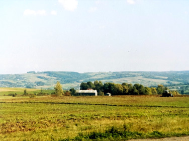 Działka Mała