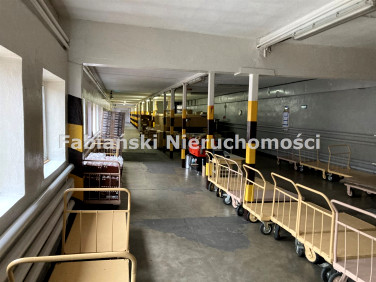 Budynek użytkowy Lubiechowo