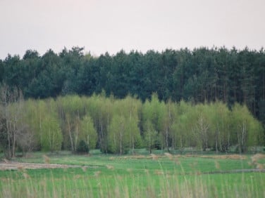 Działka budowlana Cyganka