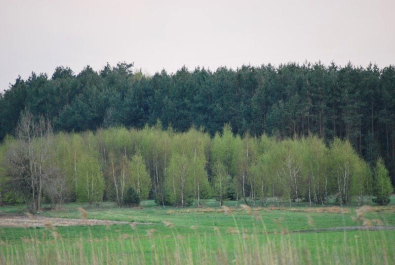 Działka budowlana Cyganka