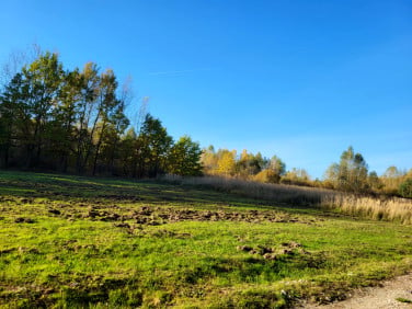 Działka budowlana Święta Katarzyna