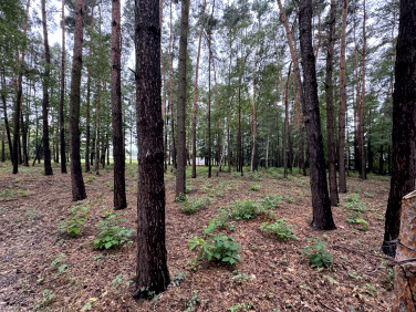 Działka budowlana sprzedam