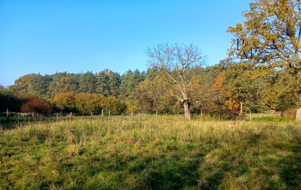 Działka budowlana Łazy