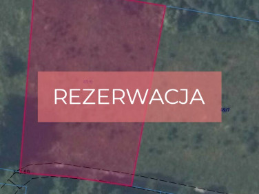 Działka BORÓWNA