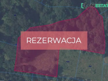 Działka BORÓWNA