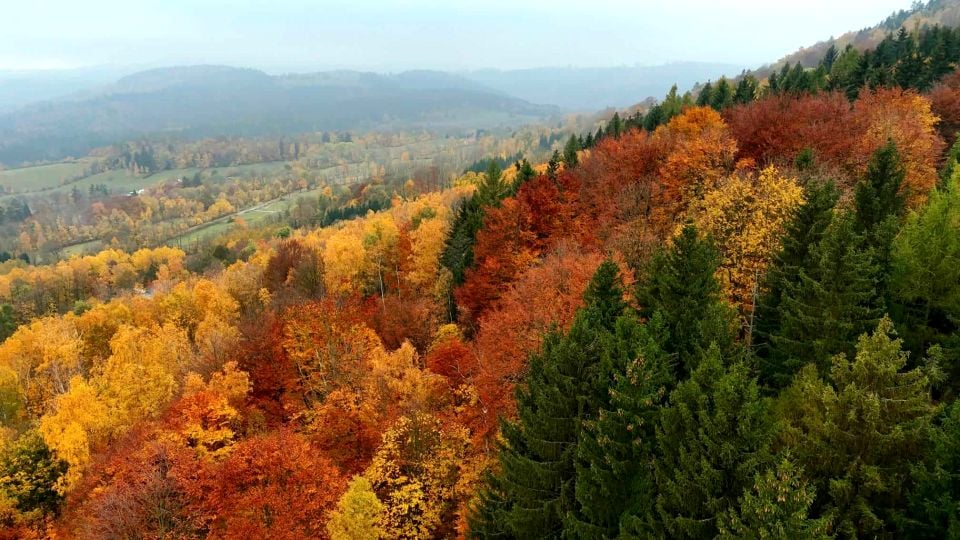 Działka siedliskowa Jugów