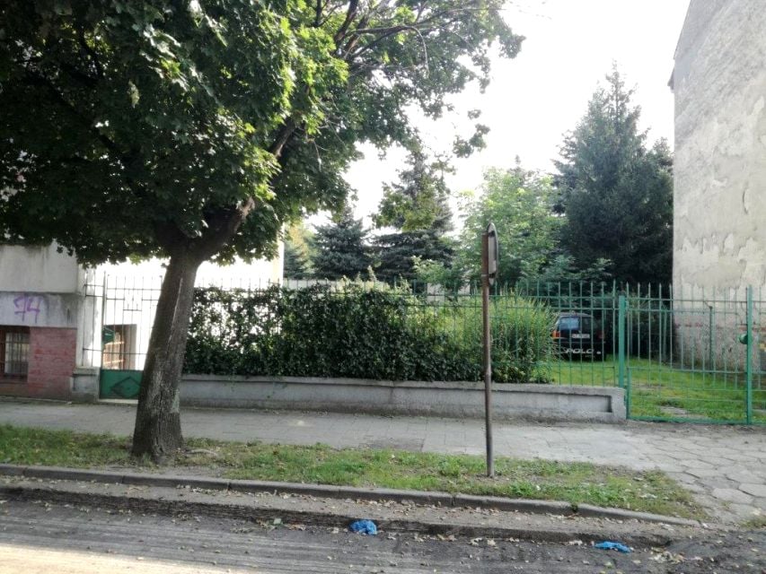 Zdjęcie 3