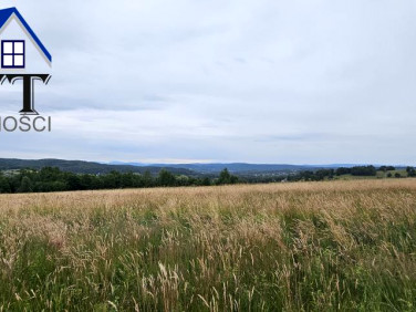 Działka budowlana Radziszów