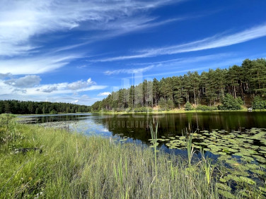 Działka nad jeziorem