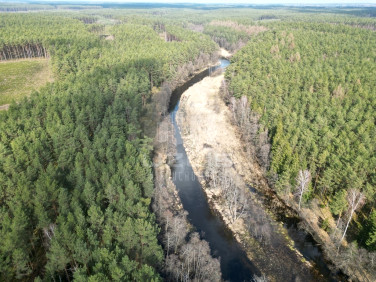 Działka leśna Krępki