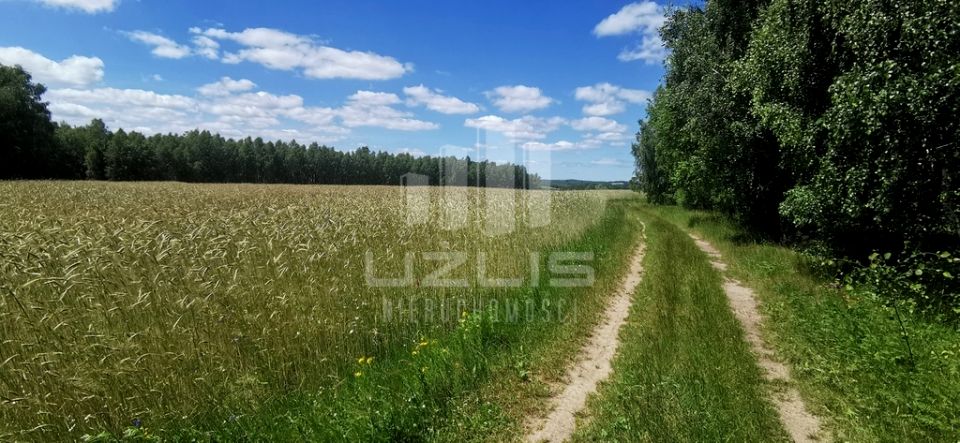 Działka przy lesie