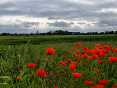 Działka budowlana Trzebiatów