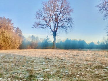 Działka budowlano-rolna Gostyń