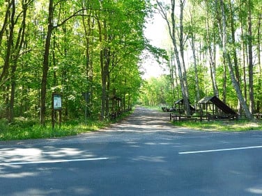 Działka budowlano-rolna Dziwnówek