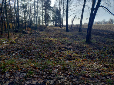 Działka budowlana Charlęż