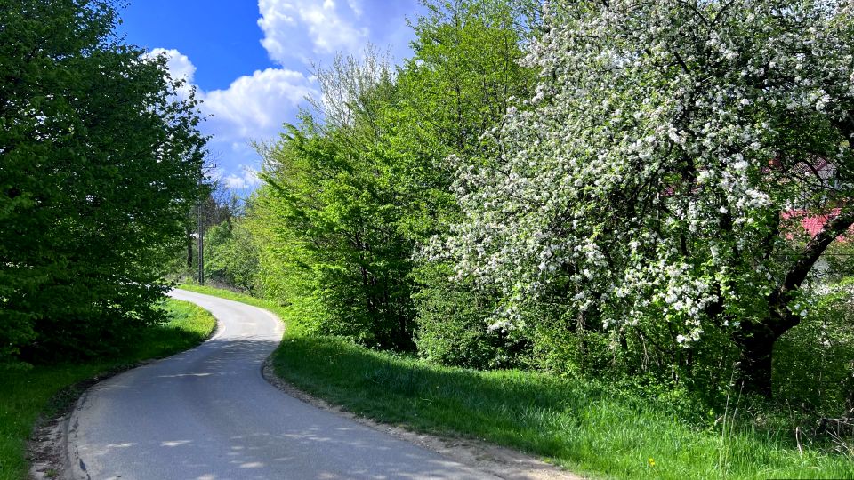 Działka inna Rogi sprzedam