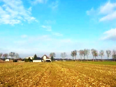 Działka przy lesie