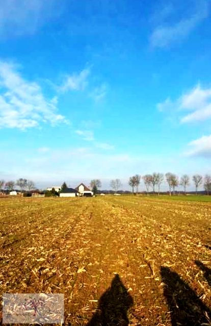 Działka przy lesie