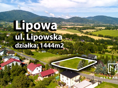 Działka Lipowa