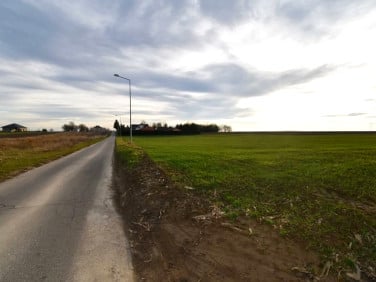 Działka Studzian