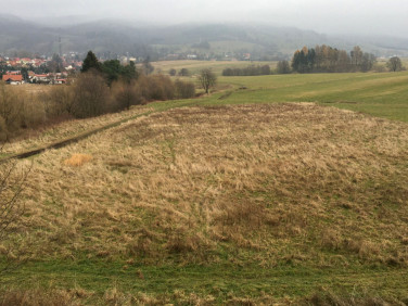 Działka Głuszyca