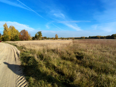 Działka Nowa Wieś