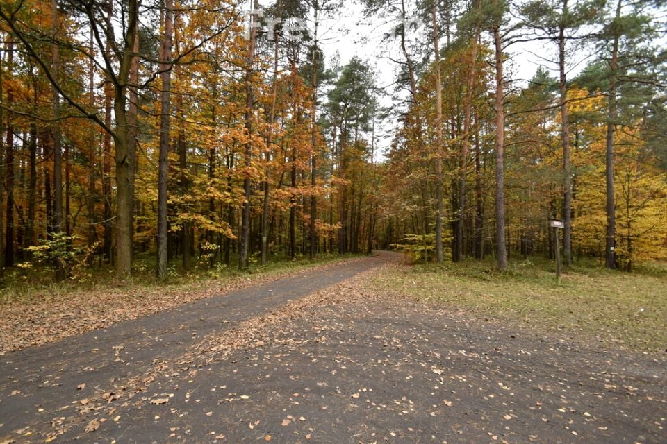 Działka leśna Rybnik