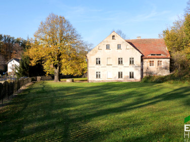 Dom Bolków sprzedaż