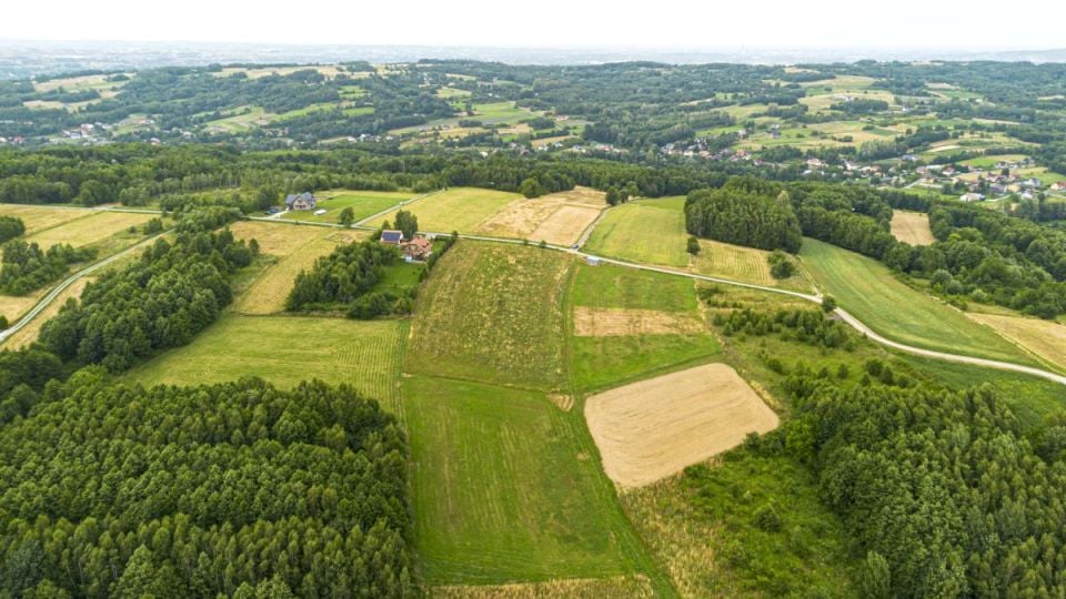 Działka Lubenia