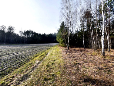 Działka rekreacyjna sprzedam