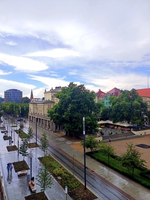 Lokal Poznań