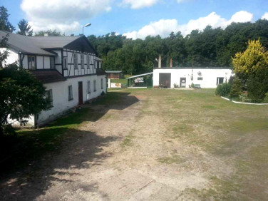Lokal Sierakowo