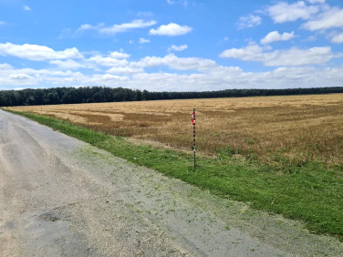 Działka budowlano-rolna Stęszew