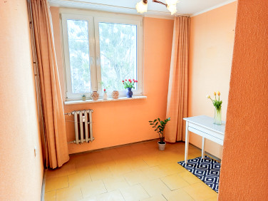 Mieszkanie Gorzów Wielkopolski