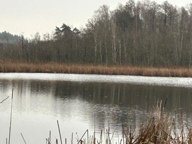 Działka Storkowo